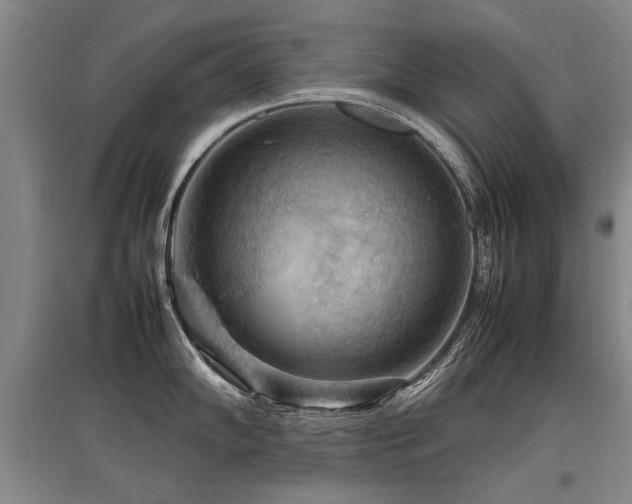 X0000097921102200803141435