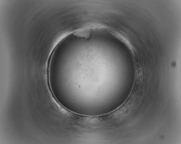 X0000097921103200803141435