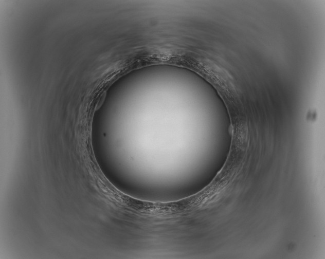 X0000097921105200803141434