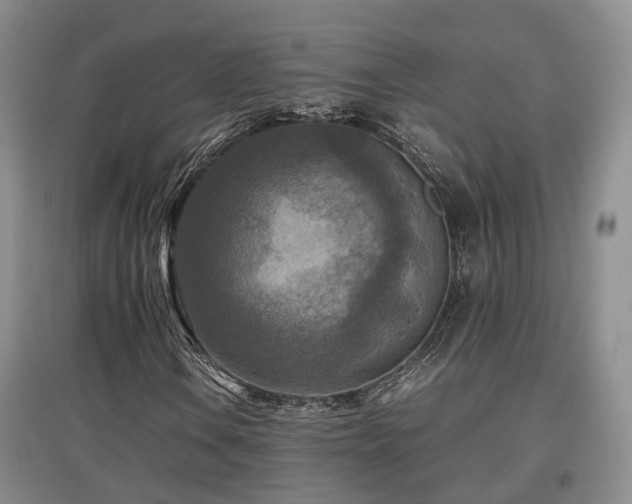 X0000097921106200803141434