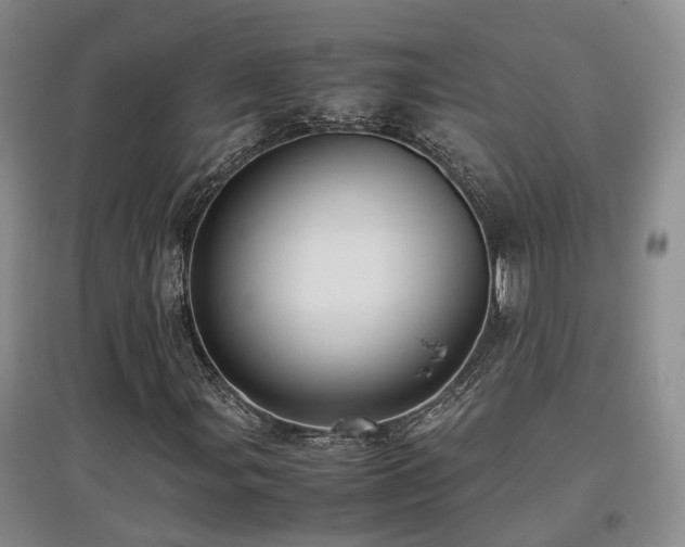 X0000097921107200803141434