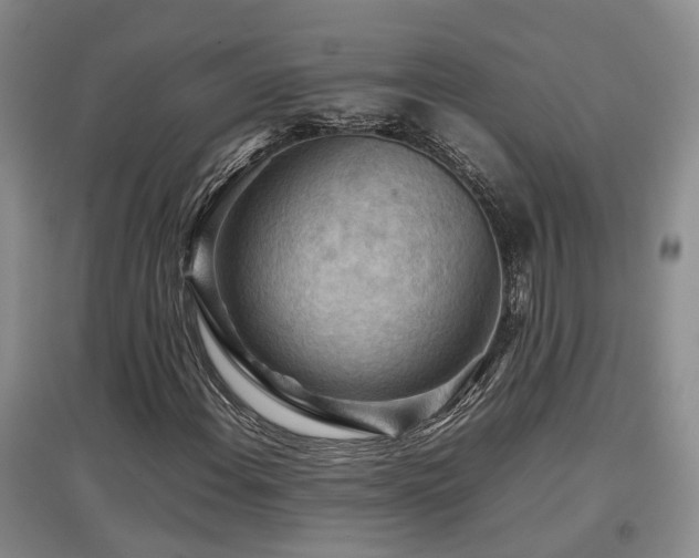 X0000097921108200803141434
