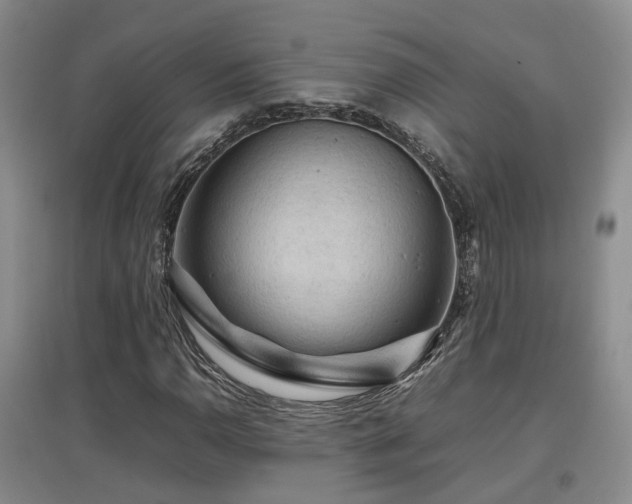 X0000097921110200803141434