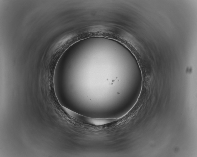 X0000097921111200803141434