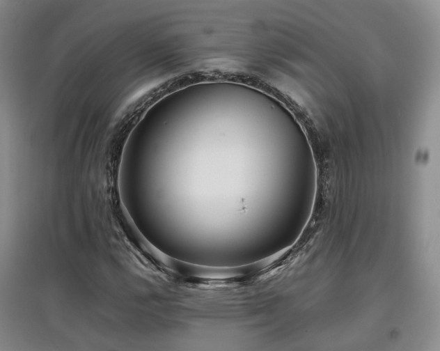 X0000097921112200803141434