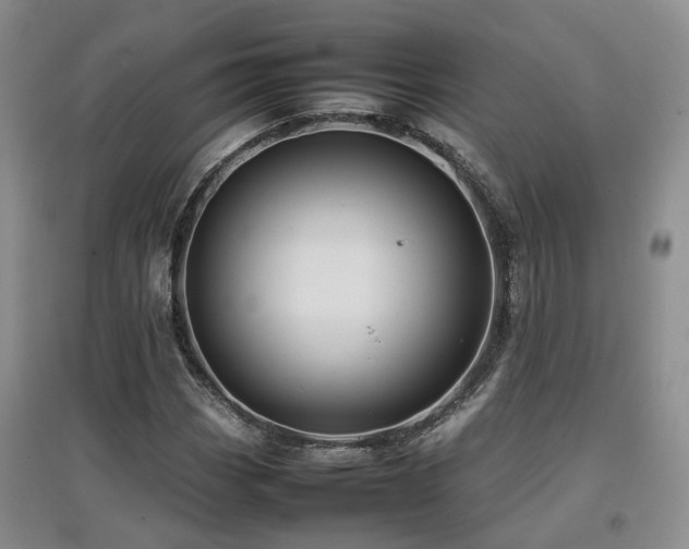 X0000097921113200803141434