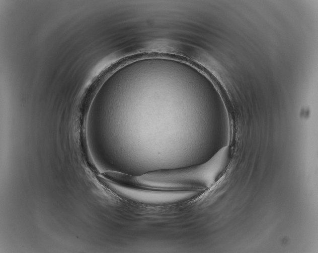 X0000097921115200803141434