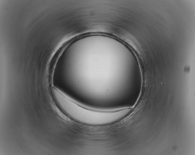X0000097921116200803141434