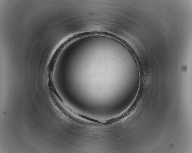X0000097921118200803141434