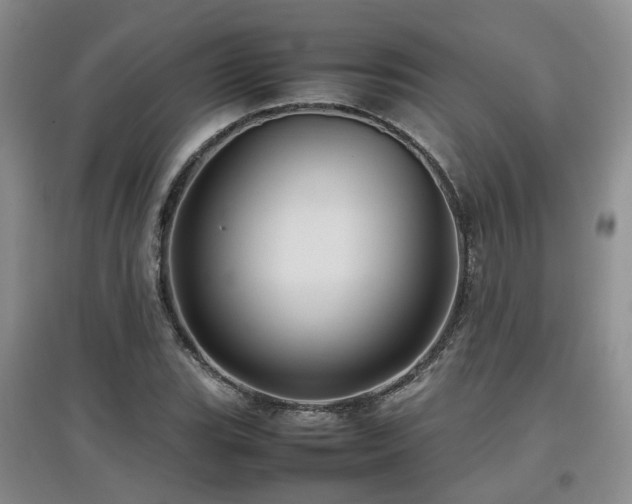 X0000097921119200803141434
