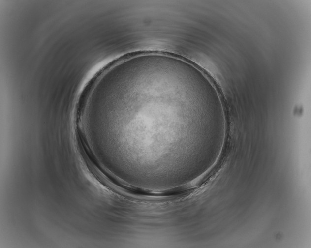 X0000097921120200803141434