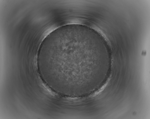 X0000097921121200803141434