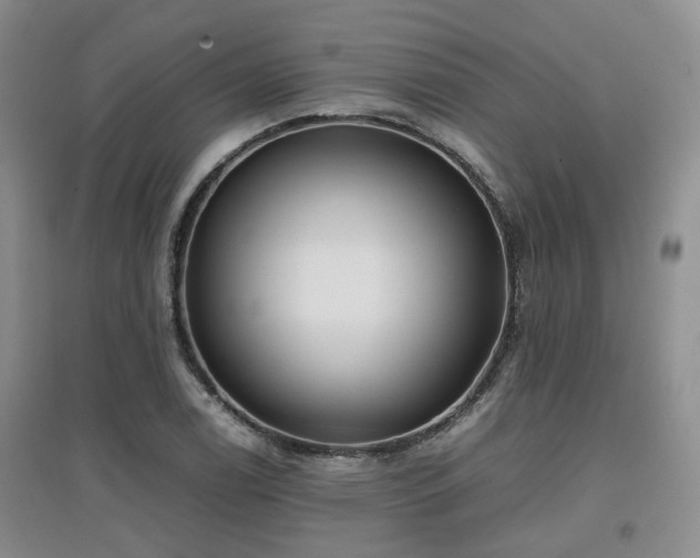 X0000097921122200803141434
