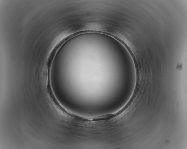 X0000097921123200803141434