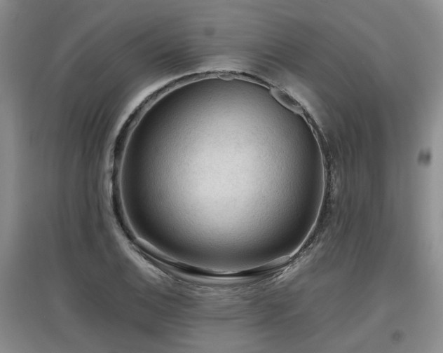 X0000097921124200803141434