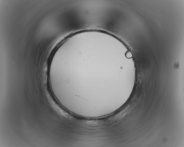 X0000097921126200803141434