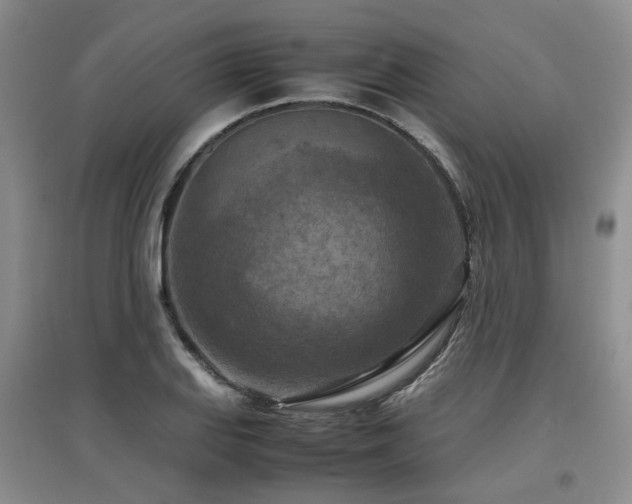 X0000097921127200803141435