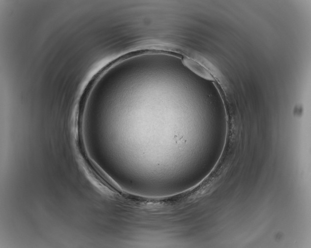 X0000097921128200803141435