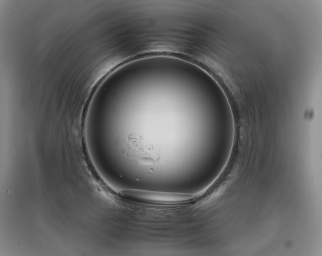 X0000097921129200803141435