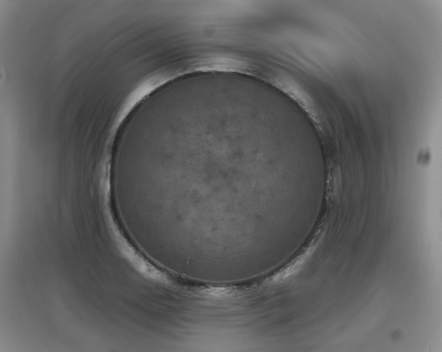 X0000097921130200803141435