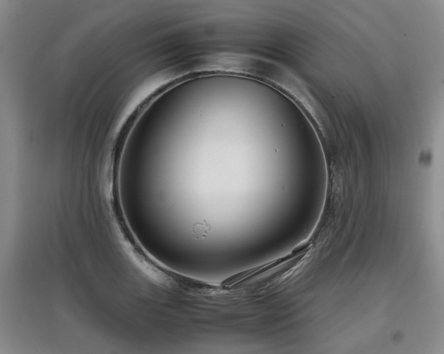 X0000097921131200803141435