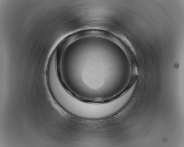 X0000097921132200803141435