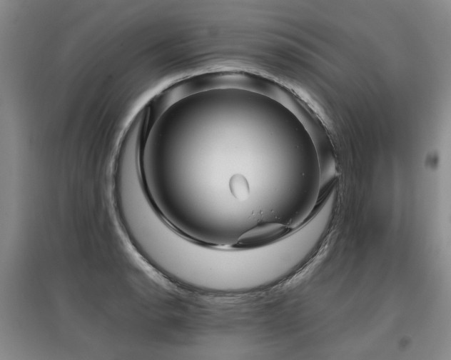 X0000097921134200803141435