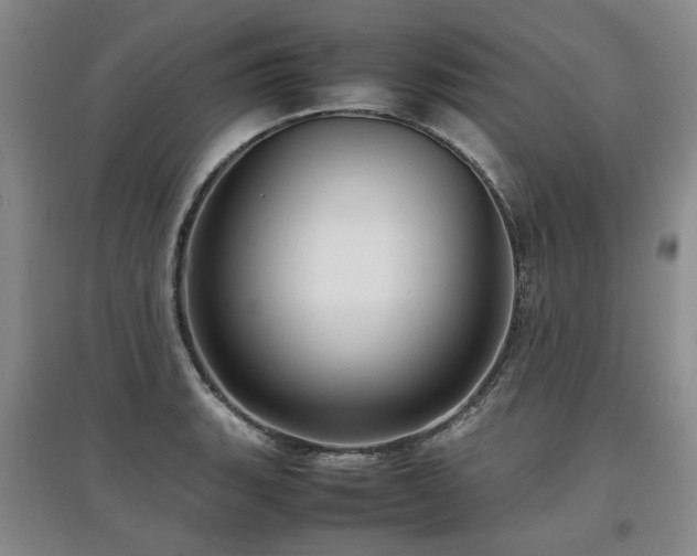 X0000097921135200803141435