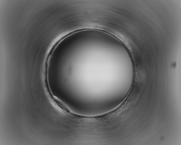 X0000097921136200803141435