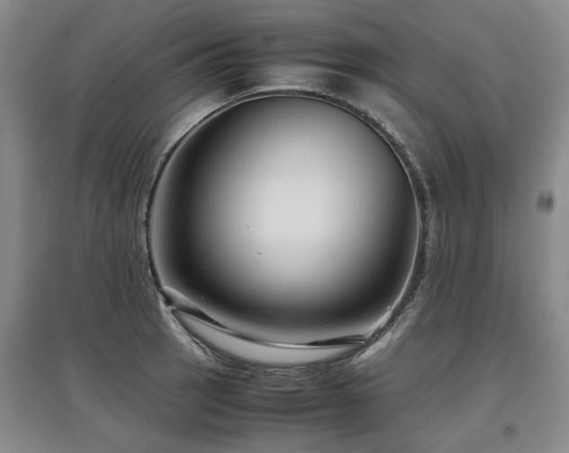 X0000097921137200803141435