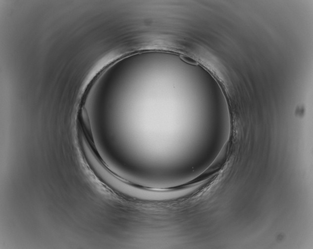 X0000097921138200803141435