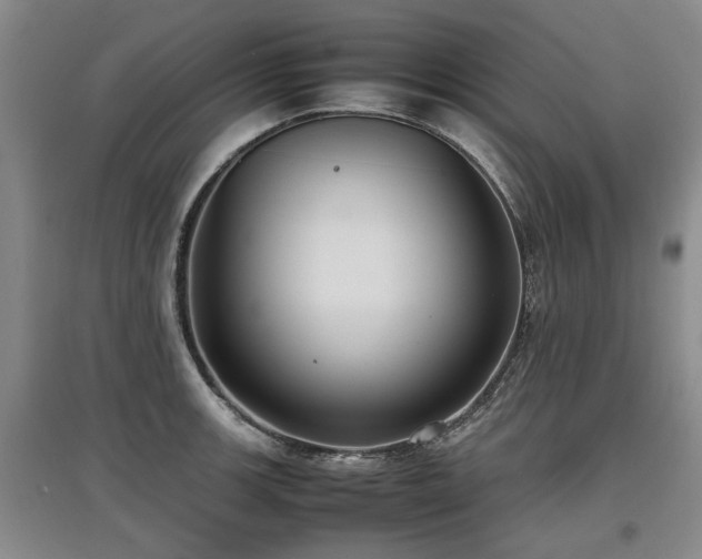 X0000097921139200803141435
