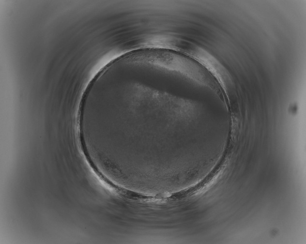 X0000097921141200803141435