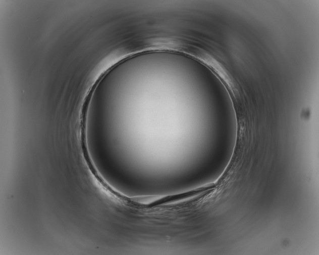 X0000097921143200803141435