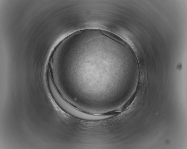 X0000097921144200803141435