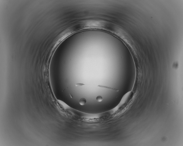 X0000097921145200803141435