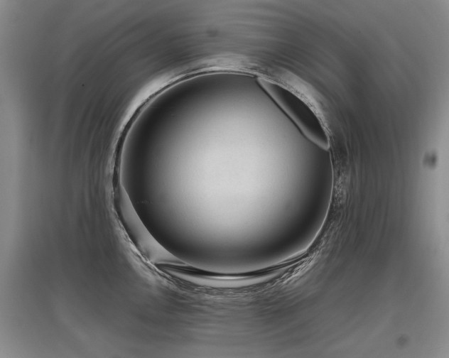 X0000097921146200803141435