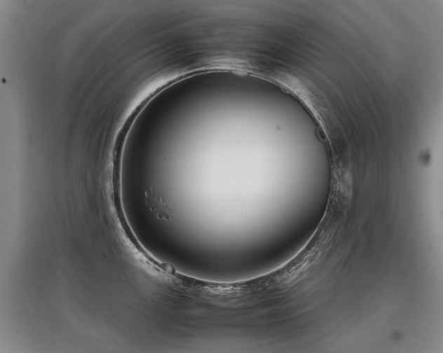 X0000097921147200803141435