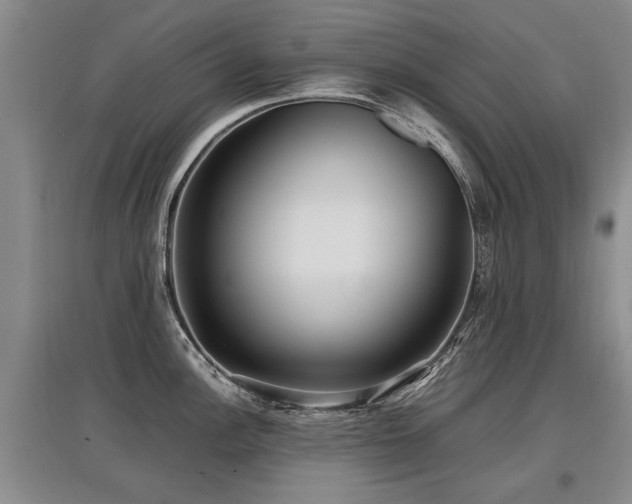 X0000097921148200803141435