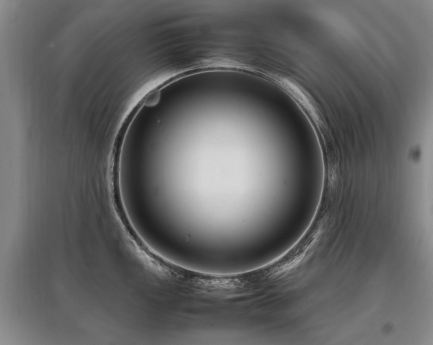 X0000097921149200803141435