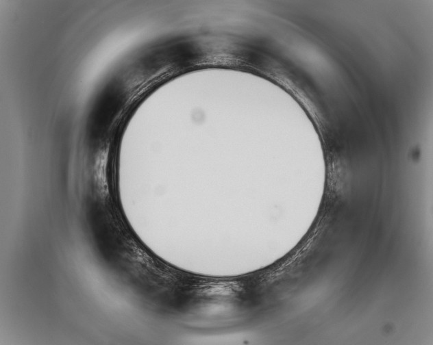 X0000097921150200803141435