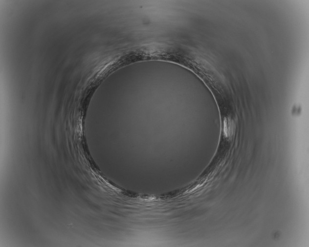 X0000097921155200803141434
