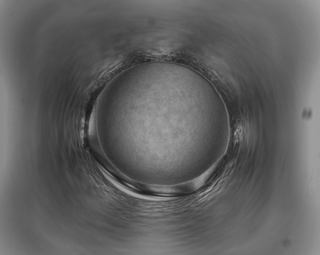 X0000097921156200803141434