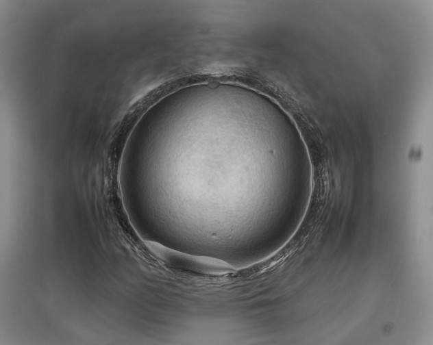 X0000097921158200803141434
