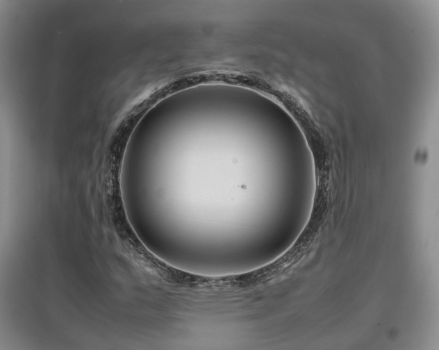 X0000097921159200803141434