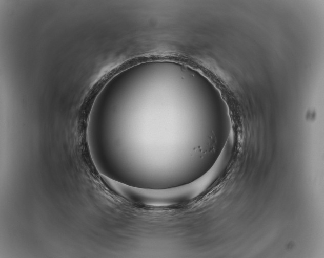 X0000097921160200803141434