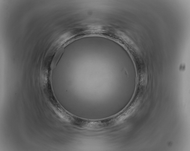 X0000097921161200803141434