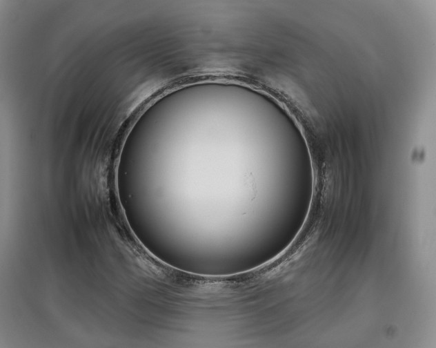 X0000097921162200803141434