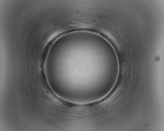 X0000097921163200803141434