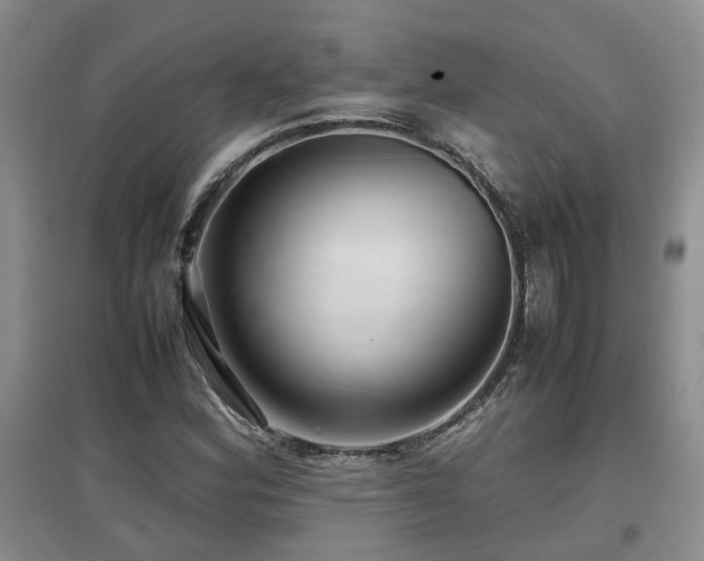X0000097921164200803141434